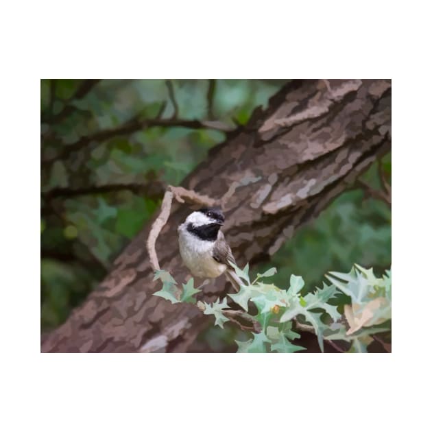 Carolina Chickadee On Photo Painted Trees by Debra Martz