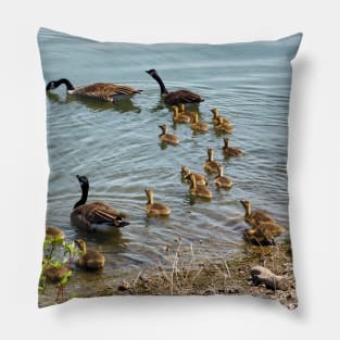 Canada Goose Family Heading To The Water Pillow