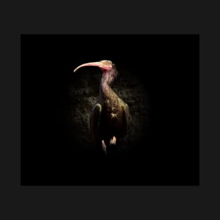 Northern bald ibis T-Shirt