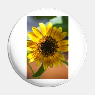 Sunflower Series XIII Pin