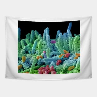 Oral bacteria, SEM (C029/3194) Tapestry