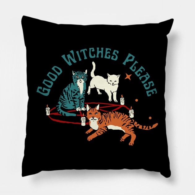 Good Witches Only Pillow by Artist usha