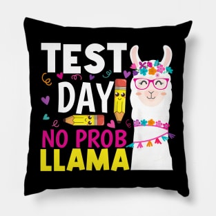 Test Day No Prob llama Llama Teacher Testing Day Pillow