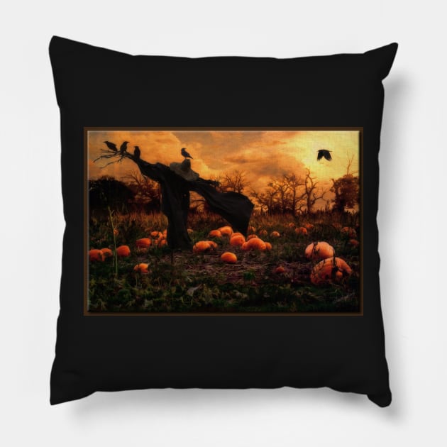 Scarecrow Pillow by rgerhard