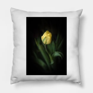 Single Yellow Tulip Still Life Pillow