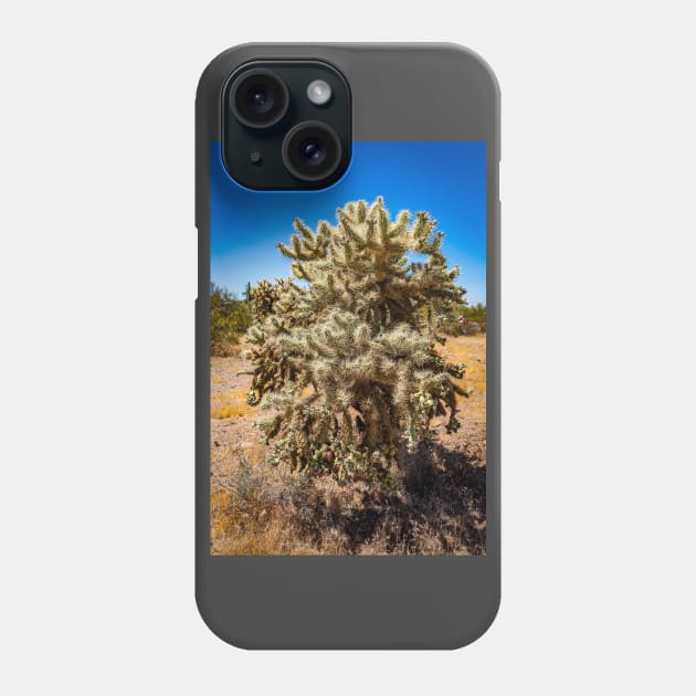 Cholla Cactus along the Apache Trail Phone Case by Gestalt Imagery