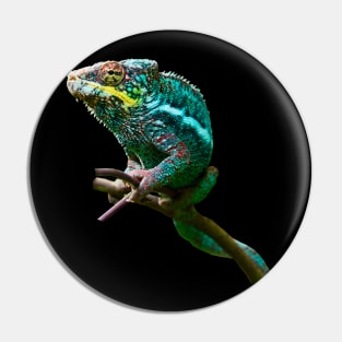 chameleon Zurich Pin