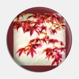 Japanese Maple Square - textured photo art Pin