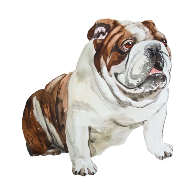 english bulldog by VicaVeresk