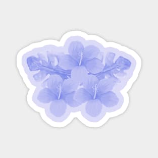 Tropical Blue Hibiscus Flower Magnet