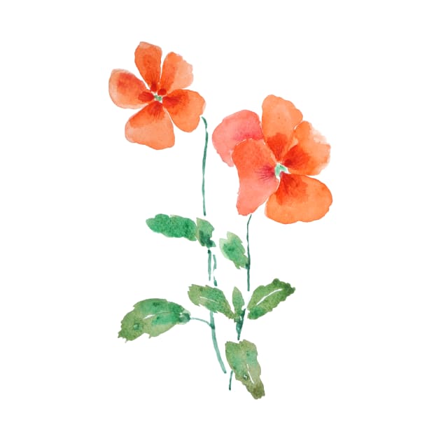 orange pansy watercolor by colorandcolor