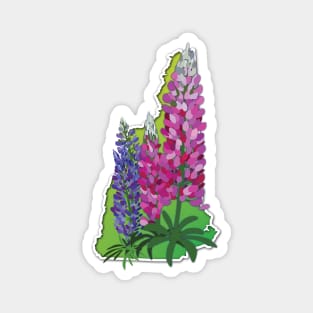 New Hampshire Lupines Magnet