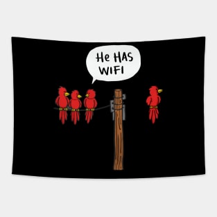 Wifi Tapestry