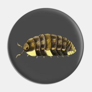 Neotroponiscus lenkoi Isopod Pin