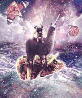 Space Pug Riding Llama Unicorn - Pizza & Taco Magnet