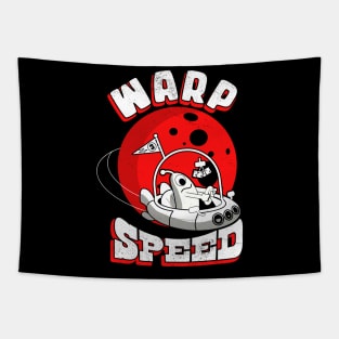 Warp Speed Tapestry