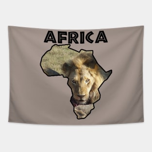 Africa Wildlife Continent Lion Stare Tapestry