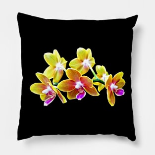 Orchid - Phalaenopsis Orchid Taida Pride Cupid Pillow