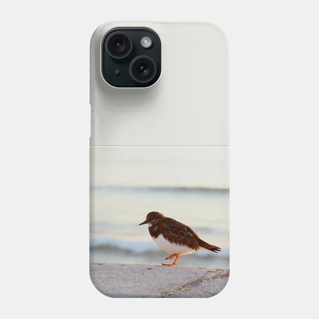 Sandpiper bird enjoying some relaxing time by the sea Phone Case by oknoki