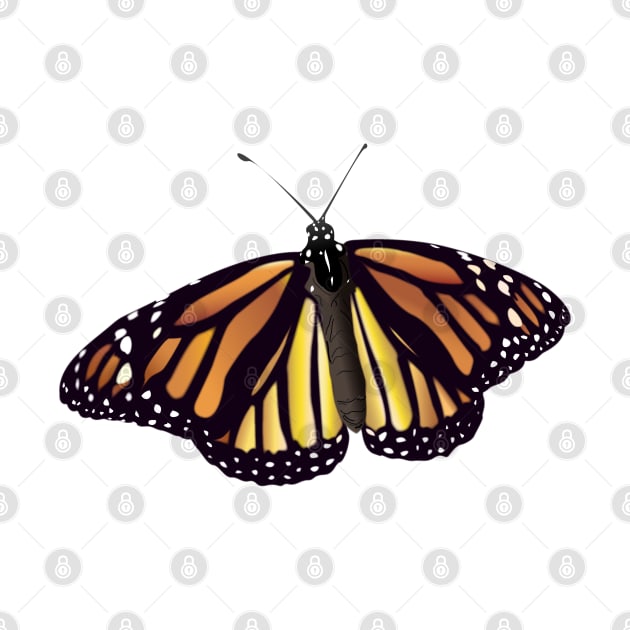 Monarch Butterfly by TinaGraphics