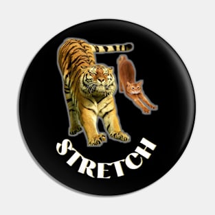 Stretch exercise by a tiger and a cat - white text Pin