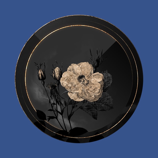 Shadowy White Rose of York Botanical on Black and Gold by Holy Rock Design