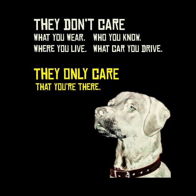 Dogs really care? by hsf