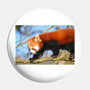 Red Panda Pin