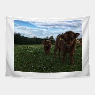 Scottish Highland Cattle Calves 1797 Tapestry