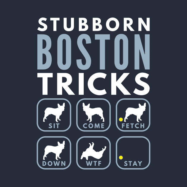 Stubborn Boston Tricks - Dog Training by DoggyStyles