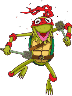 Teenage Mutant Ninja Frog Magnet