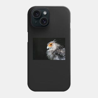 Secretarybird Phone Case