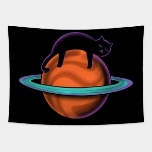 Cat sleeping space Tapestry