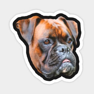 Nice picture of a dog's head - Germany boxer dog Magnet