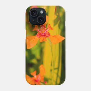 Orange lily blossom on yellow background Phone Case