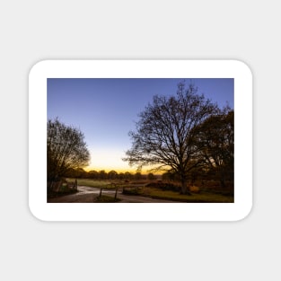 Richmond Park Sunrise Magnet