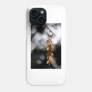 In the Silence of the Moment Phone Case