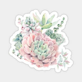 Beautiful Watercolor Succulents Magnet