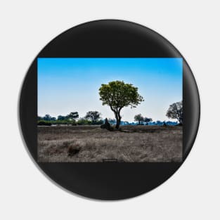 Trees and Termite Mounds Pin