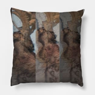 The Unicorn - Transcendence Pillow