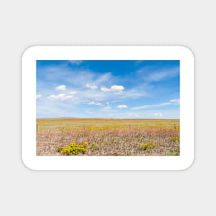 American rural landscape Magnet