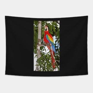 Scarlet Macaw Posing Tapestry