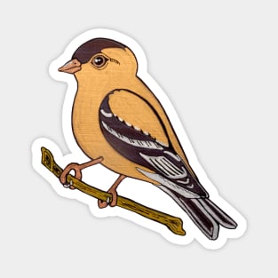 American Goldfinch Yellow Bird on Branch Magnet