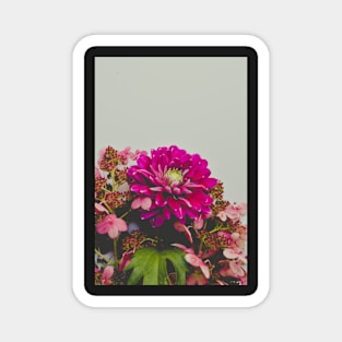 Autumn Dahlia and Hydrangea Flowers Magnet