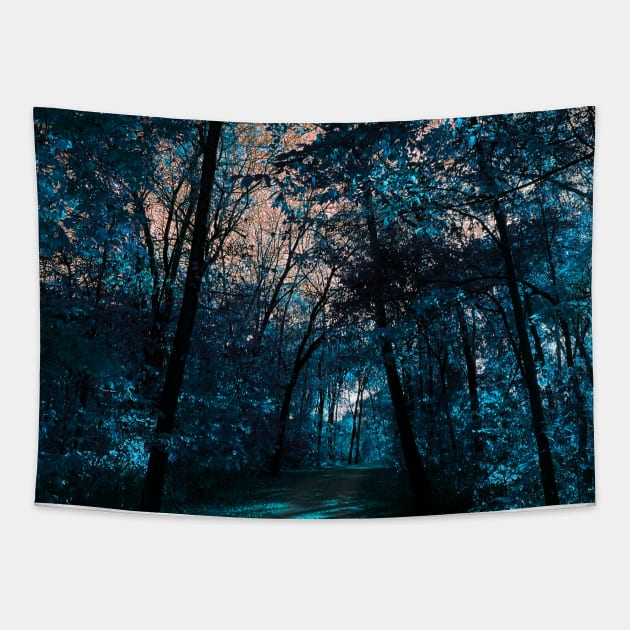 Majestic Fantasy Fall Wooded Trail Scene with Blue Foliage and Orange Sky - Indian Creek Trail Kansas City Tapestry by Zen Goat 