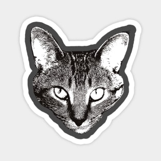 Devon Rex - Devon Rex Christmas Gifts Magnet