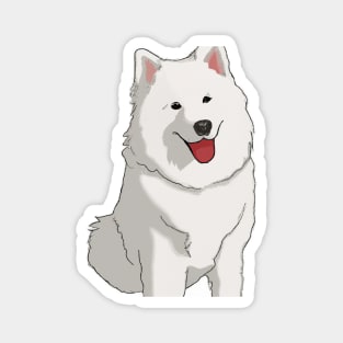 Cute Samoyed Drawing Magnet