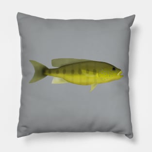 Giant Cichlid Pillow