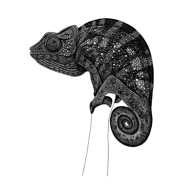 Chameleon illustration by lorendowding