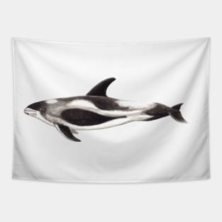 White-beaked dolphin Lagenorhynchus albirostris Tapestry